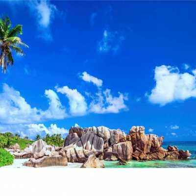 皇冠体育安卓系统